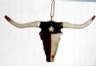 Longhorn Skull Christmas ornament