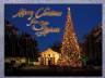Merry Christmas from San Antonio Christmas Card