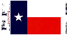 Texas Flag Decal Sticker 5 x 8